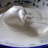 1 Pcs 8 Inch Stainless Steel Spring Whisk Mini French Spring Coil Whisks Egg Whisk Wire Whip Cream Beater Kitchen Utensils for Stirring, Baking an...