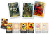 Final Girl: Wave 2: Once Upon a Full Moon – Board Game by Van Ryder Games – Core Box Required to Play - 1 Player – Board Games for Solo Play – 20-...