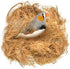 CoCoo Coconut Fiber for Birds, for Arts & Crafts Projects, Parakeet Nesting Material for Comfortable Bedding in Nesting Box, Great for Nest Buildi...