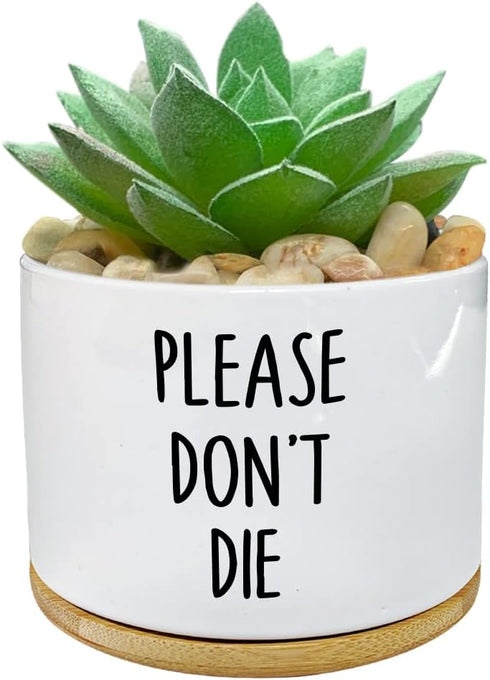 Funny White Ceramic Engraved Mini Succulent Cactus Planter Pot, 1 Pack 3.5 inch Succulent Indoor Flower Plant Pots with Bamboo Tray for Home Offic...