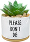 Funny White Ceramic Engraved Mini Succulent Cactus Planter Pot, 1 Pack 3.5 inch Succulent Indoor Flower Plant Pots with Bamboo Tray for Home Offic...