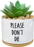 Funny White Ceramic Engraved Mini Succulent Cactus Planter Pot, 1 Pack 3.5 inch Succulent Indoor Flower Plant Pots with Bamboo Tray for Home Offic...