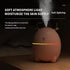 Adorable Humidifiers for Bedroom and Baby Nursery, 6oz cool mist humidifier for Kid's Room, aromatherapy diffuser, Portable Mini Humidifier, baby ...