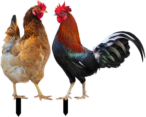 Yardwe 2pcs Chicken Rooster Yard Art Garden Stake Realistic Lifelike Hen Garden Poultry Statue Rooster Animals Sculpture for Yard Garden Lawn Outd...