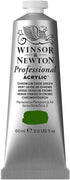 Winsor & Newton Professional Acrylic Paint, 60ml (2-oz) Tube, Chromium Oxide Green...