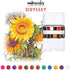 Prima Marketing Watercolor Confections ART PHILOSOPHY Confections Watercolour Pans Odyssey 12pk...