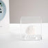 3 Pegs Round Display Easel Stands with Transparent Acrylic Box, Multiple Decoration Storage Case, Small Items Stands for Displaying Collectible St...