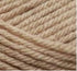 Premier Yarns Everyday Soft Worsted Anti-Pilling Yarn - 3.5 Oz - #4 Medium Weight - 3 Pack Bundle with Bella's Crafts Stitch Markers (Cappucino).....