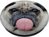 Funny Pug Sticking Out Tongue PopSockets PopGrip: Swappable Grip for Phones & Tablets PopSockets Adhesive PopGrip...