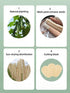 WOCATS 6pcs Natural Loofah Dish Sponges Scrubber for Kitchen-Based Dishwashing Scrubber Greener Clean Stand Wear and Tear Non-Scratch, Biodegradab...