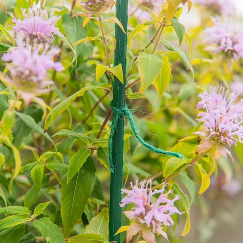 Rocky Mountain Goods Green Jute Twine Heavy Duty 200 ft - 3 Ply Strong Soft Natural Fiber Green Gardening Jute Twine for Plants, Gardening- Soft J...