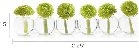 CHIVE ‘Caterpillar’ Bubble Bud Vase for Centerpieces — 6 Hole Multi Chamber Clear Glass Flower Vase for Short Flowers — Small, 10.25” Long...