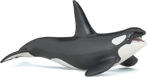 Papo - hand-painted - figurine - Marine Life - Killer Whale Figure-56000 - Collectible - For Children - Suitable for Boys and Girls - From 3 years...