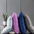 FLXXIE 2 Pack Zipped Satin Queen Pillowcases for Hair and Skin, Silky and Super Soft (20"x30") Zippered Satin Pillow Cases, Dark Grey, 20x30 Inche...