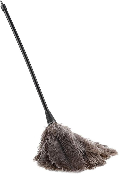 Feather Dusters, Ostrich Feather Duster, Mini Feather Duster Duster, Reusable Feather Dusters Real Feather Duster Home for Keyboard for Books Offi...