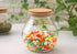 1PCS 500ML/17OZ Glass Favor Jars With Cork Lids Empty Transparent Round Food Storage Large Capacity Sealed Glass Bottles for Spice Food Snack Nut ...