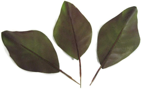 Artificial Magnolia Leaves Pack of 30 Leaves...