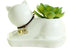 Cute Succulent Planter Animal Shaped Flower Pot Decor for Home Office Desk (Cat)...