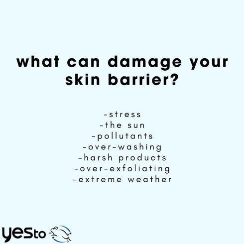 Yes To Intense Hydration Serum, Locks In Moisture and Helps Support Skin's Barrier Against Environmental Damage, Hyaluronic Acid, Avocado Oil and ...