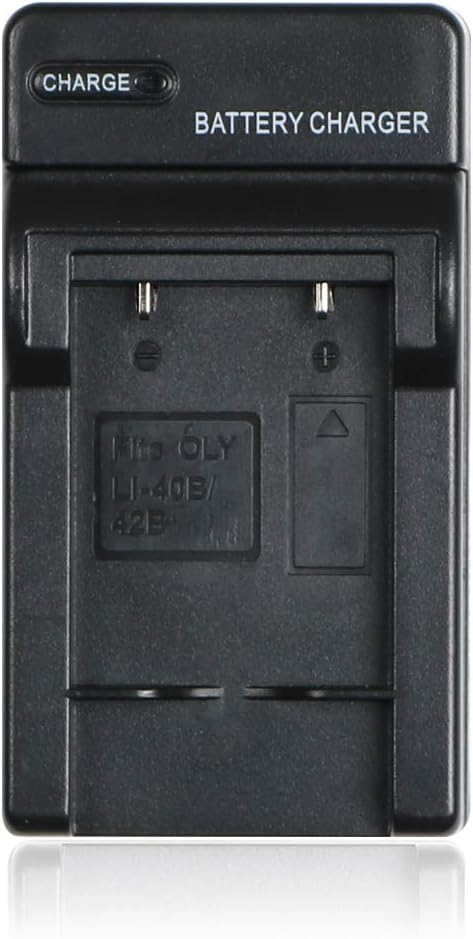NP-80 NP80 Battery Charger for Casio Exilim EX-G1, EX-H5, EX-H50, EX-H60, EX-JE10, EX-N1, EX-N5, EX-N10, EX-N20 (only for casio np80)...