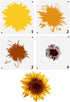 FINGERINSPIRE 4Pcs Layered Sunflowers Painting Stencil 11.8x11.8inch Reusable Sunflowers Pattern Drawing Template Plants Theme Decoration Stencil ...