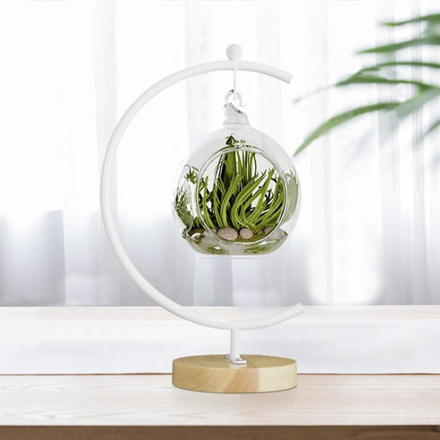 YY YEARCHY Ornament Display Stand Large Metal Air Plant Flower Pot Holder Iron Pothook for Hanging Glass Terrarium Globe Ball...