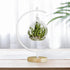 YY YEARCHY Ornament Display Stand Large Metal Air Plant Flower Pot Holder Iron Pothook for Hanging Glass Terrarium Globe Ball...