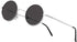 NIEEPA Vintage Small Round Polarized Hippie Sunglasses for Men Women Circle Sun Glasses NP1002...