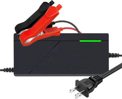 14.6V 3A LiFePO4 Battery Charger, Smart Battery Charger for 12.8V Lithium Iron Phosphate Battery, Trickle Charger Battery Maintainer, Built-in Saf...