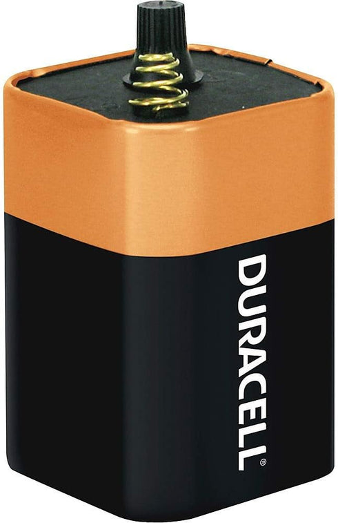 Duracell DURMN908 - Alkaline Lantern Battery...