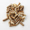 100 Shiitake 100 Mushroom Plug Spawn Edible Mycelium Plugs...