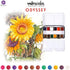 Prima Marketing Watercolor Confections ART PHILOSOPHY Confections Watercolour Pans Odyssey 12pk...