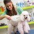 Pet Grooming Brush,Cat Brush for Shedding,Self Cleaning Slicker Brush for Short and Long Haired Dogs Cats Rabbits,Dog Brush Gently Removes Loose U...