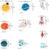 Space Planet Wall Decals Wall Stickers Kids,Cute Educational Wall Stickers for Daycare,Nursery,Playroom,Babyroom,Classroom,School....