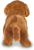Bearington Frankie The Dachshund Stuffed Animal, 13 Inch Weiner Dog Stuffed Animal...