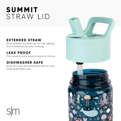 Simple Modern Kids Water Bottle Plastic BPA-Free Tritan Cup with Leak Proof Straw Lid | Reusable and Durable for Toddlers, Boys | Summit Collectio...