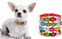 Flower Dog Collars for Small Dogs, Fancy Pretty Colorful Floral Cute Girl Puppy Collar for Xs Small Breed Pet Female Dogs Tiny Cats, Hot Pink Xsma...