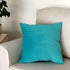 Artcest Cozy Solid Velvet Throw Pillow Case, Decorative Couch Cushion Cover, Soft Sofa Euro Sham with Zipper Hidden, 24"x24" (Light Teal)...