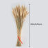 100 Pcs Dried Wheat Sheaves Bundle Golden Natural Wheat Bouquet Bunch Dried Flowers Arrangement for Fall Farmhouse DIY Design Home Table Wedding P...
