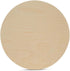Wood Circles 10 inch, 1/4 Inch Thick, Birch Plywood Discs, Pack of 1 Unfinished Wood Circles for Crafts, Wood Rounds by Woodpeckers...