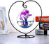 Archi 4 Pack Heart-Shaped Ornament Display Stand Iron Pothook Stand for Hanging Glass Terrarium (Heart)...