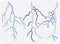 FINGERINSPIRE Lightning Painting Stencil 8.3x11.7inch Plastic PET Lightning Pattern Drawing Template Hollowed Lines Pattern Stencil for Painting N...