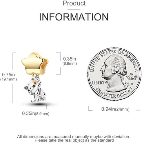 CYCUFF 925 Sterling Silver Charms Suitable for Bracelet Pendants Beads, Charm Necklaces Jewellery Gift for Women...