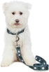 2PCS Dog Plaid Collars and Funny Leash Set Pet Gift Adjustable Dogs Green Checks Collars for Small to Large Pets (Medium)...