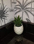 White Porcelain Pineapple Ananas Faux Plant Potted Artificial Succulent 7.8" Home Office Bathroom Tabletop Shelf Kitchen Decoration...