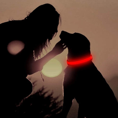 LED Dog Collar, USB Rechargeable Light Up Dog Collar Lights, Adjustable Comfortable Soft Mesh Safety Dog Collar for Small, Medium, Large Dogs(Larg...