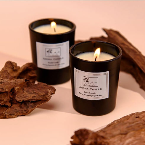 Aromatherapy Scented Candles for Home Fragrance, Deodorizer, Air Freshener - Endless Summer, Black...