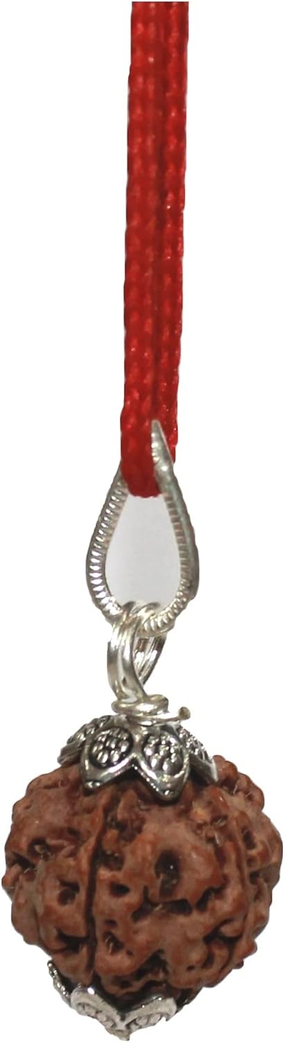 5 Face Rudraksha Pendant/ 5 Mukhi Rudraksha Pendant |Certified|...