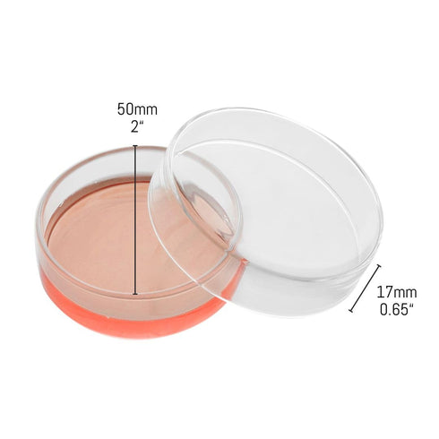 EISCO Petri Dish, 2" (50mm) - Beaded Edges Easy to Sterilize for Repeated Use Borosilicate Glass- Eisco Labs...