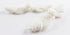 Chinese Frogs Button Closures Hook & Eye Fastener - Sewing Quilting Renaissance Dance Hawaiian Bridal Costumes Outfit Drapery Home Decor-White-Pin...